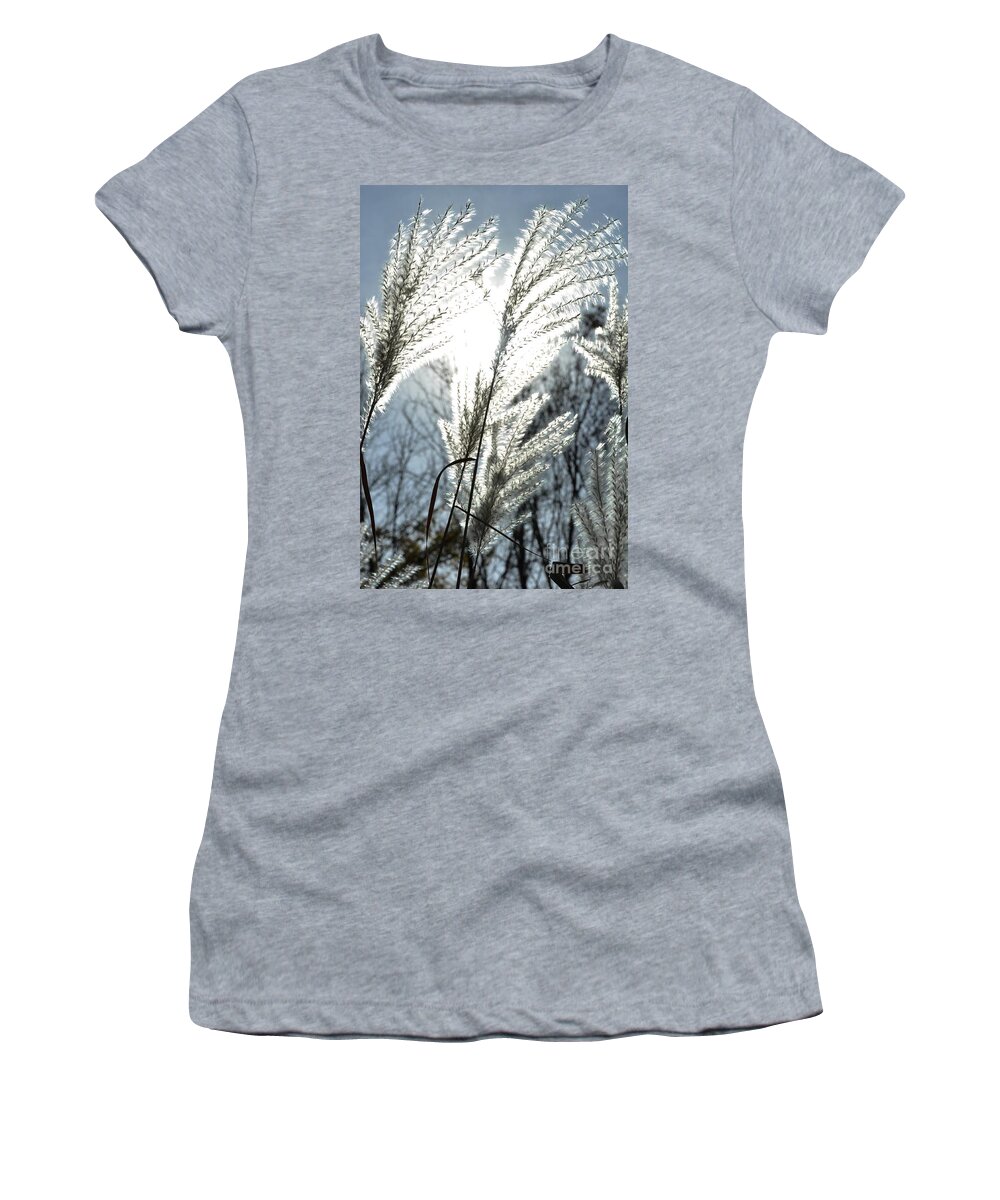 Autumn Women's T-Shirt featuring the photograph Sunshine Ornamental by Cheryl Baxter