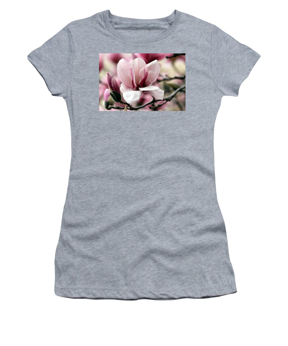 Magnolia Bloom Women's T-Shirt featuring the photograph Sweet Magnolia by Elizabeth Winter