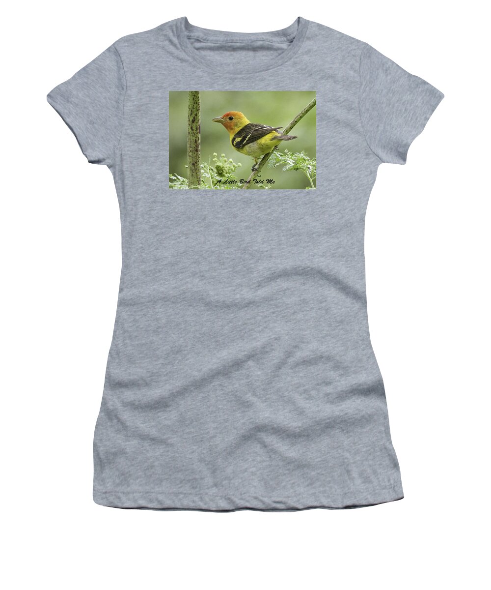 Little Bird Women's T-Shirt featuring the photograph Tanager Card by Betty Depee