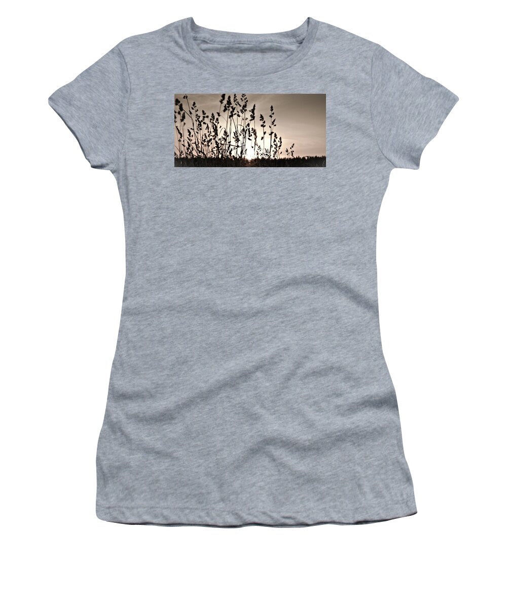 Grass Women's T-Shirt featuring the photograph The grass at sunset by Michael Goyberg