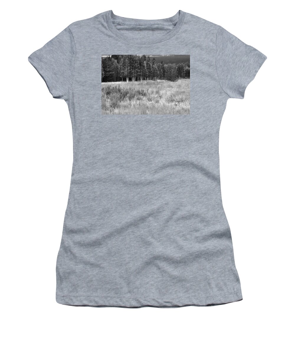 Landscape Women's T-Shirt featuring the photograph The Meadow Black And White by Phyllis Denton