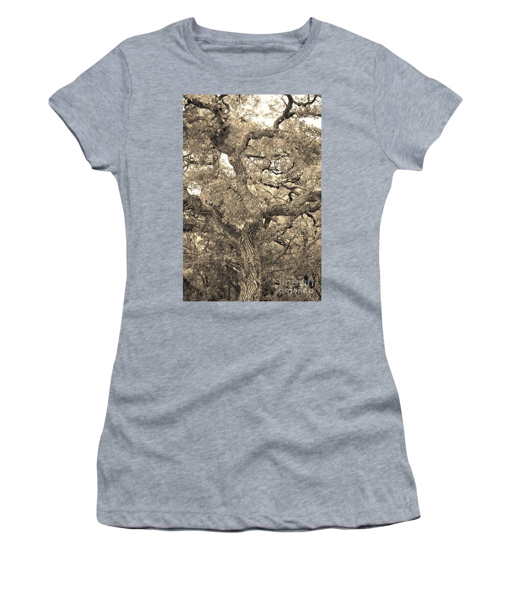 Fine Art Women's T-Shirt featuring the photograph The Wicked Tree by Donna Greene