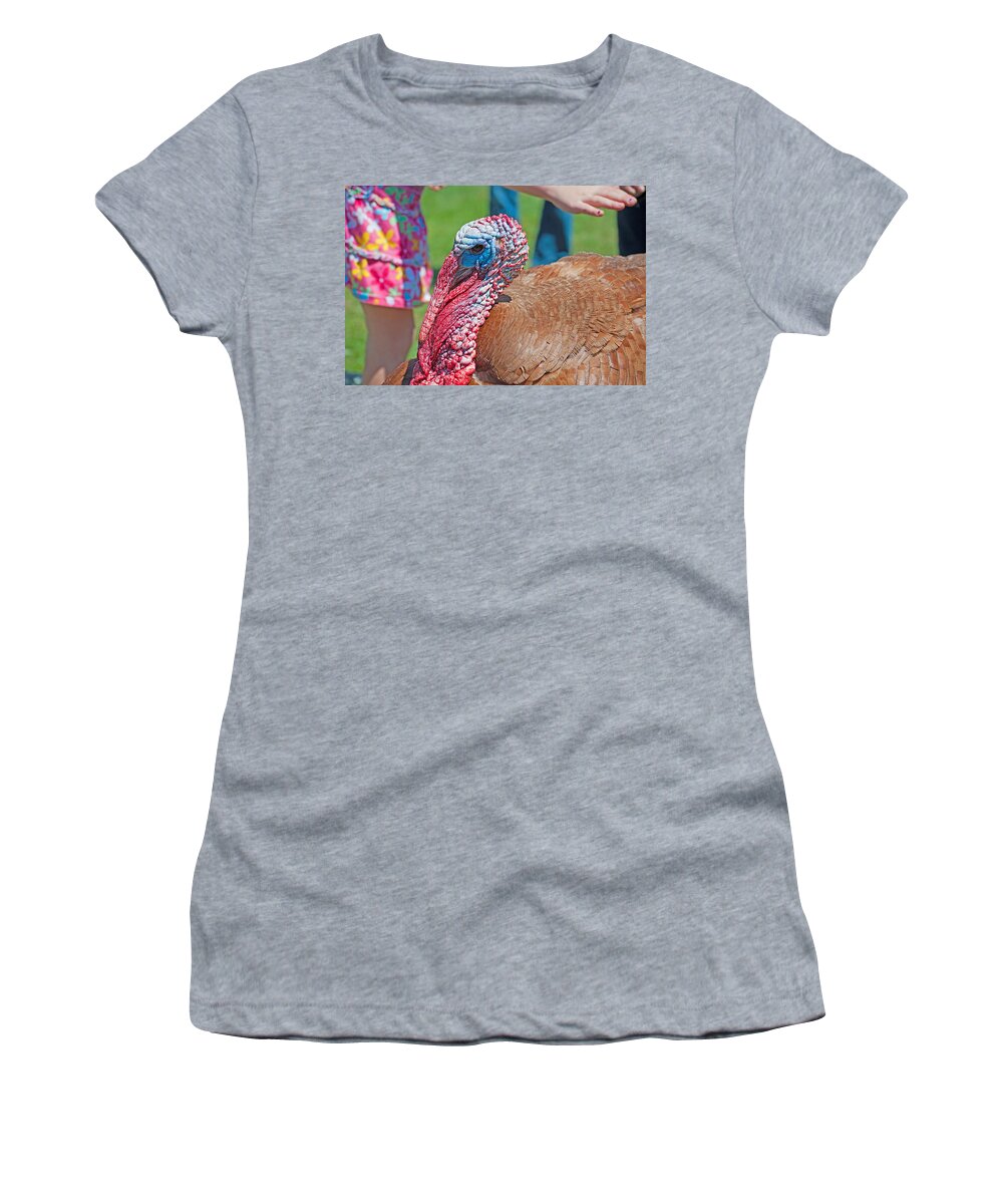 Wildlife Women's T-Shirt featuring the photograph Thomas the Turkey by Kenneth Albin