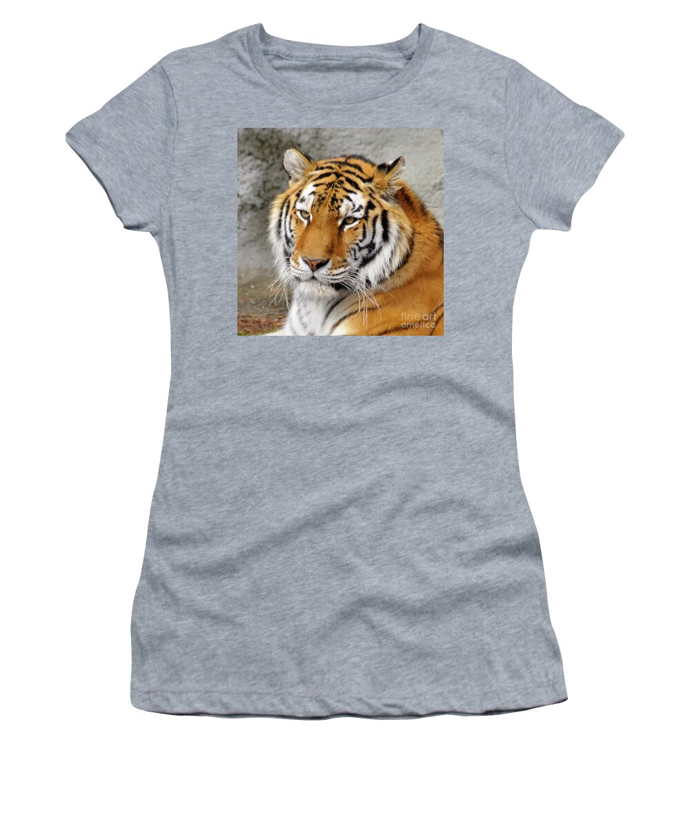Tiger Women's T-Shirt featuring the photograph Tiger Portrait by Ronald Grogan