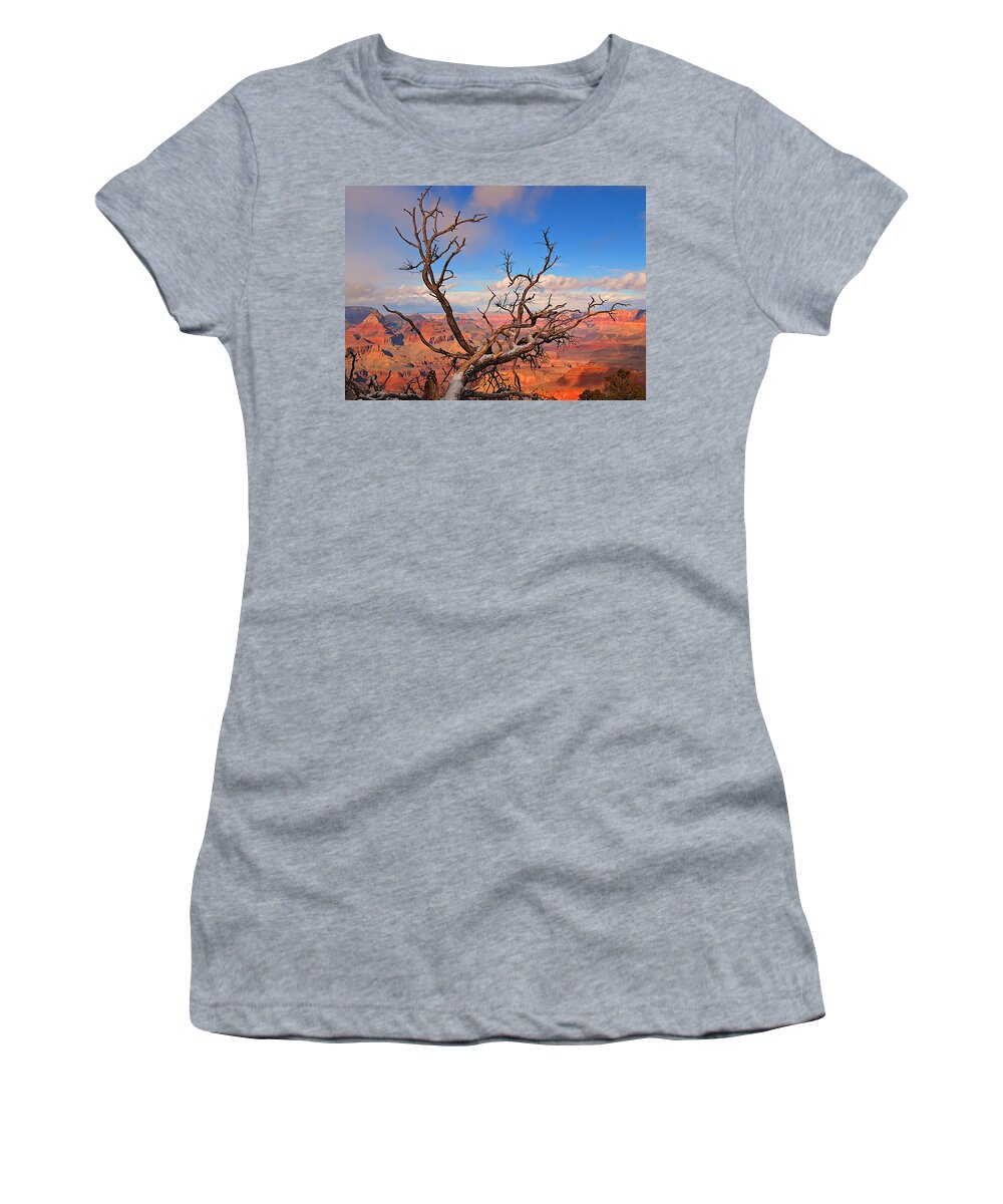 Grand Canyon Women's T-Shirt featuring the photograph Tree over Grand Canyon by Greg Wyatt