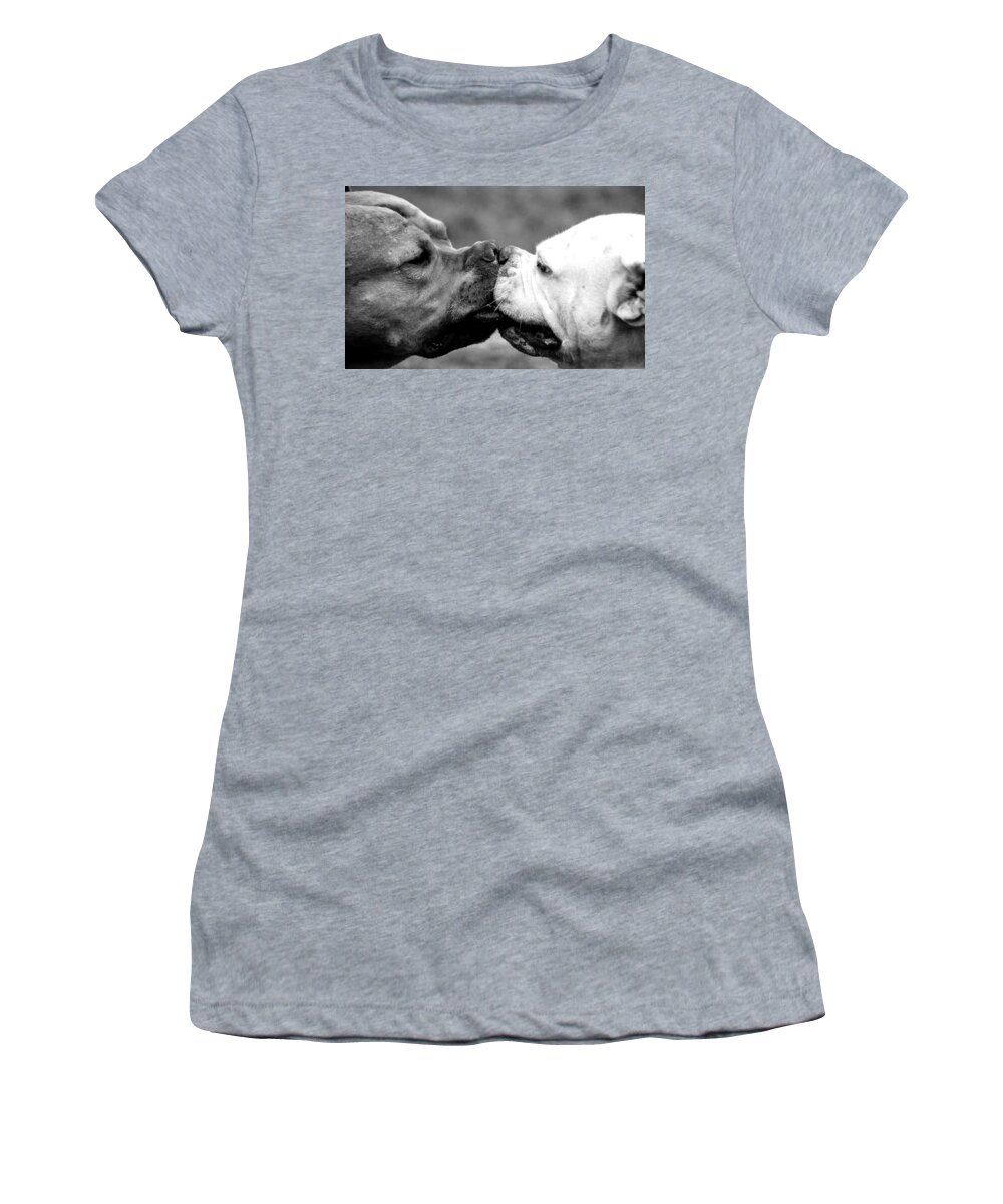 Dog Women's T-Shirt featuring the photograph Two dogs kissing by Sumit Mehndiratta