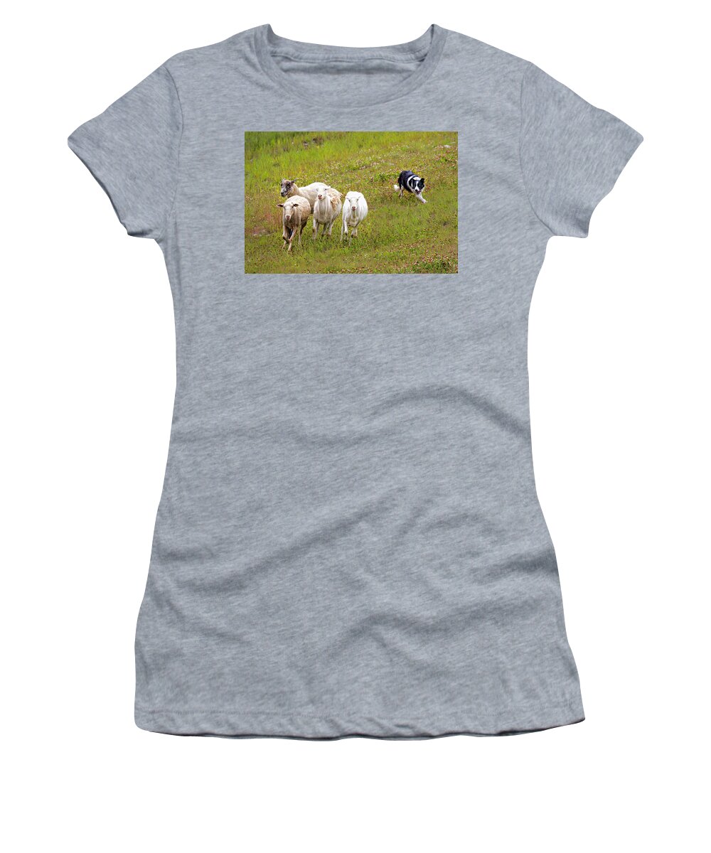Border Women's T-Shirt featuring the photograph Wait... not that way by Fred J Lord