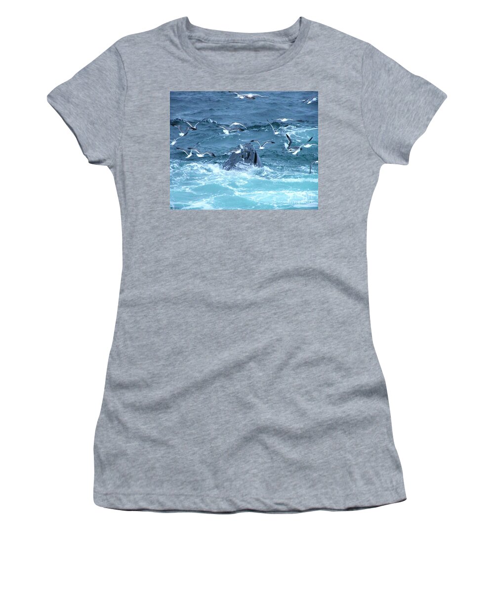 Cape Cod Women's T-Shirt featuring the photograph Whale by Lizi Beard-Ward