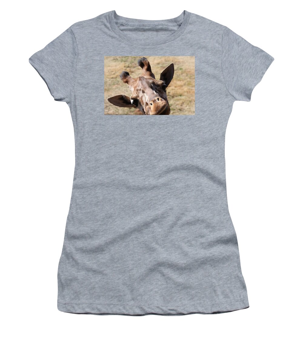 Giraffe Women's T-Shirt featuring the photograph What A Face by Kim Galluzzo Wozniak