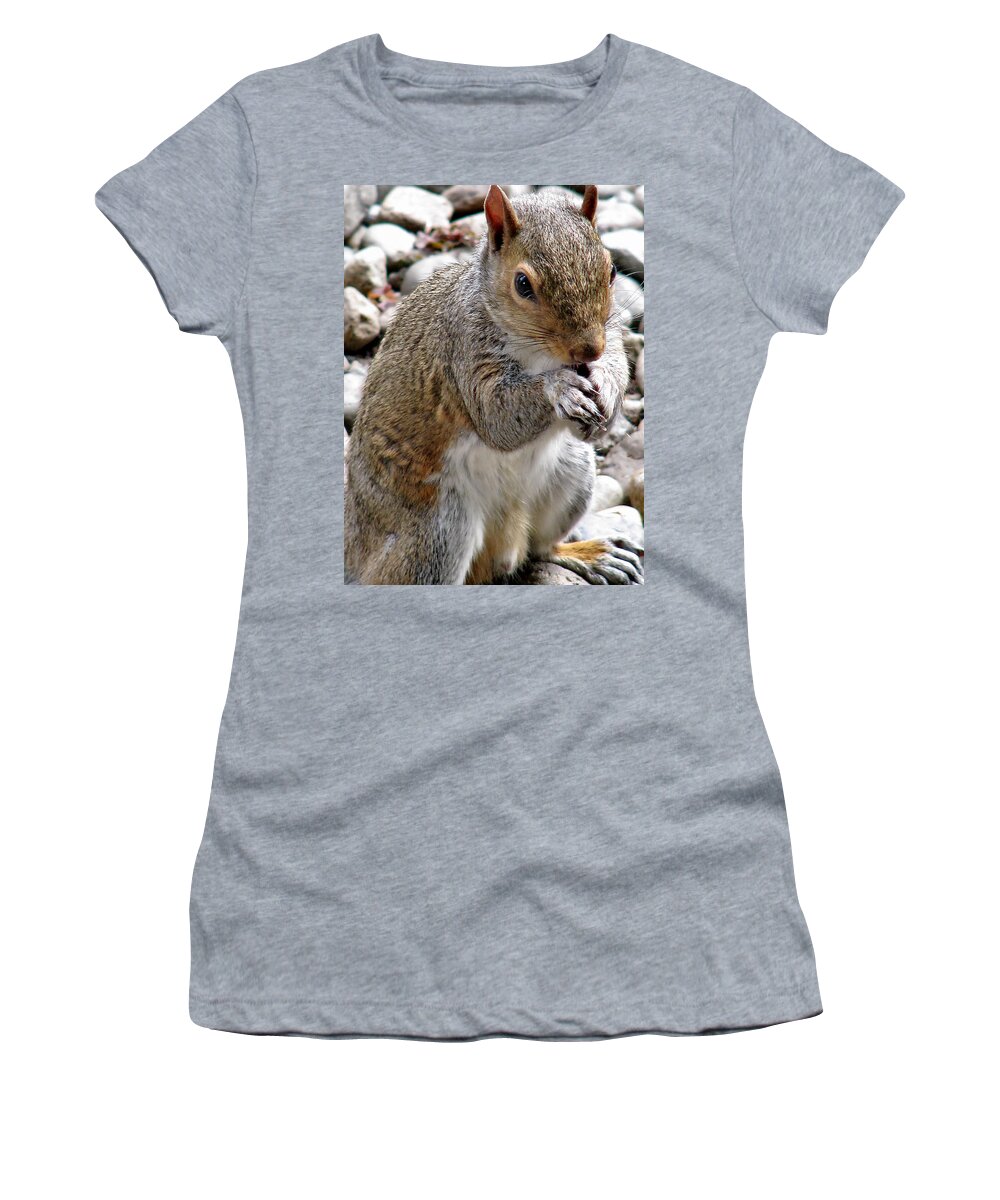Squirrel Women's T-Shirt featuring the photograph Where are the Peanuts by Rory Siegel