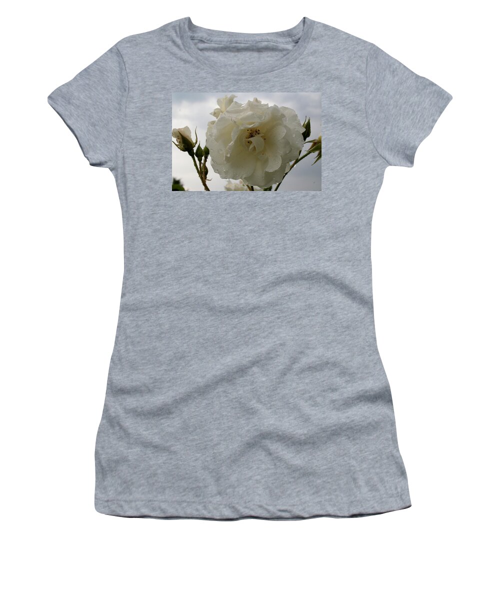 Rose Women's T-Shirt featuring the photograph White Rose on a Gray Day by Ellen Heaverlo