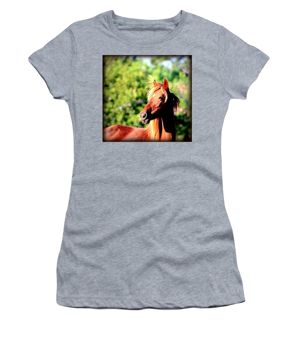 Wild Spanish Mustang Women's T-Shirt featuring the photograph Wild and Free in North Carolina by Kim Galluzzo