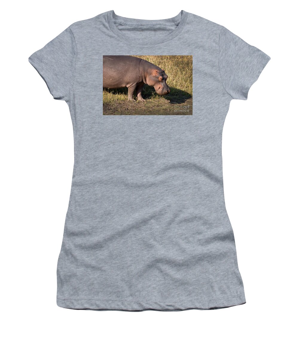 Africa Women's T-Shirt featuring the photograph Wild Hippopotamus by Karen Lee Ensley