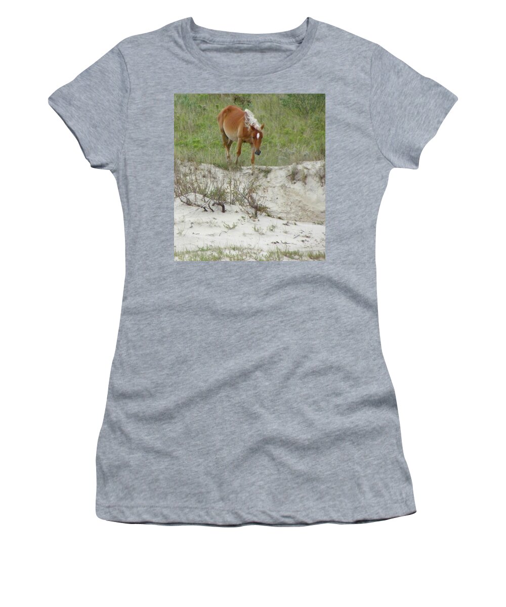 Mustang Women's T-Shirt featuring the photograph Wild Spanish Mustang of the Outer Banks of North Carolina by Kim Galluzzo Wozniak