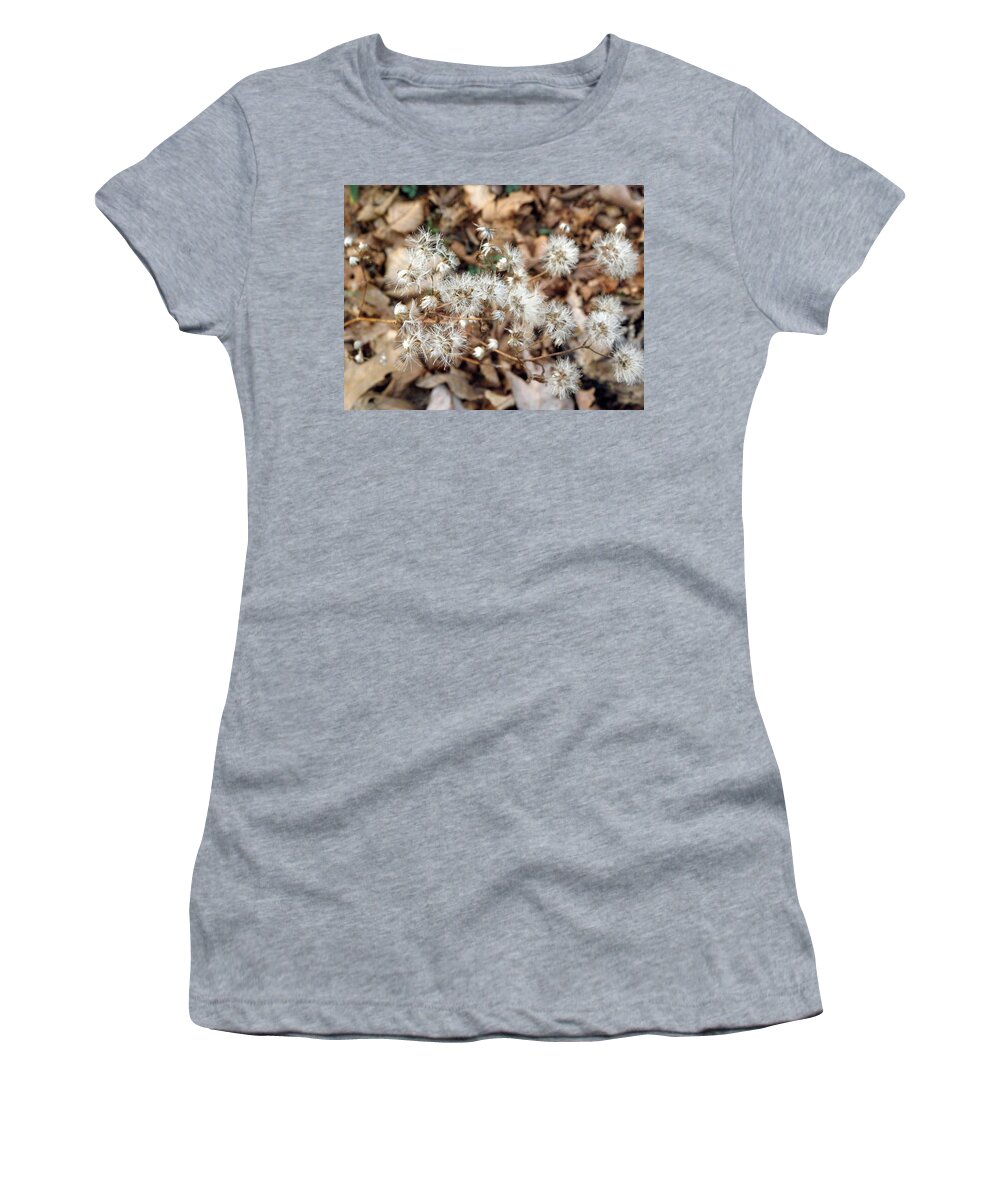 Winters Women's T-Shirt featuring the photograph Winters flowers by Kim Galluzzo Wozniak