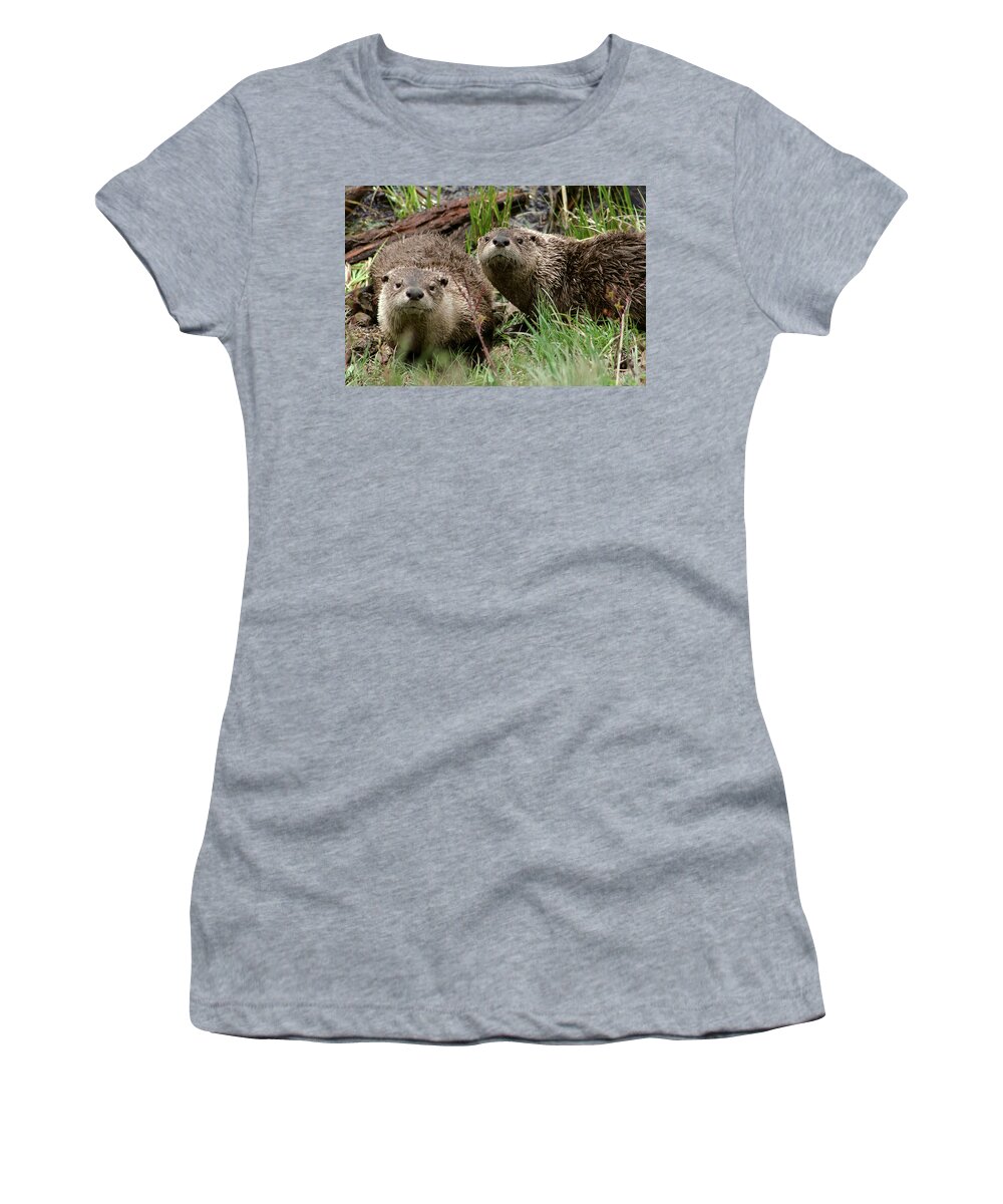 Yellowstone Women's T-Shirt featuring the photograph Yellowstone River Otters by Steve Stuller