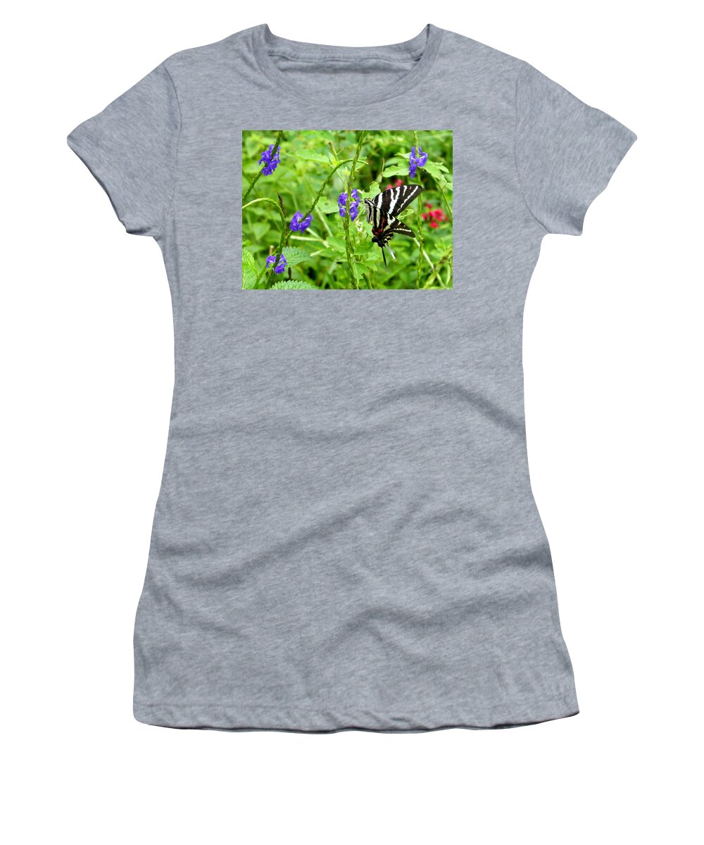 Nature Women's T-Shirt featuring the photograph Zebra Swallowtail on Blue Porterweed by Judy Wanamaker