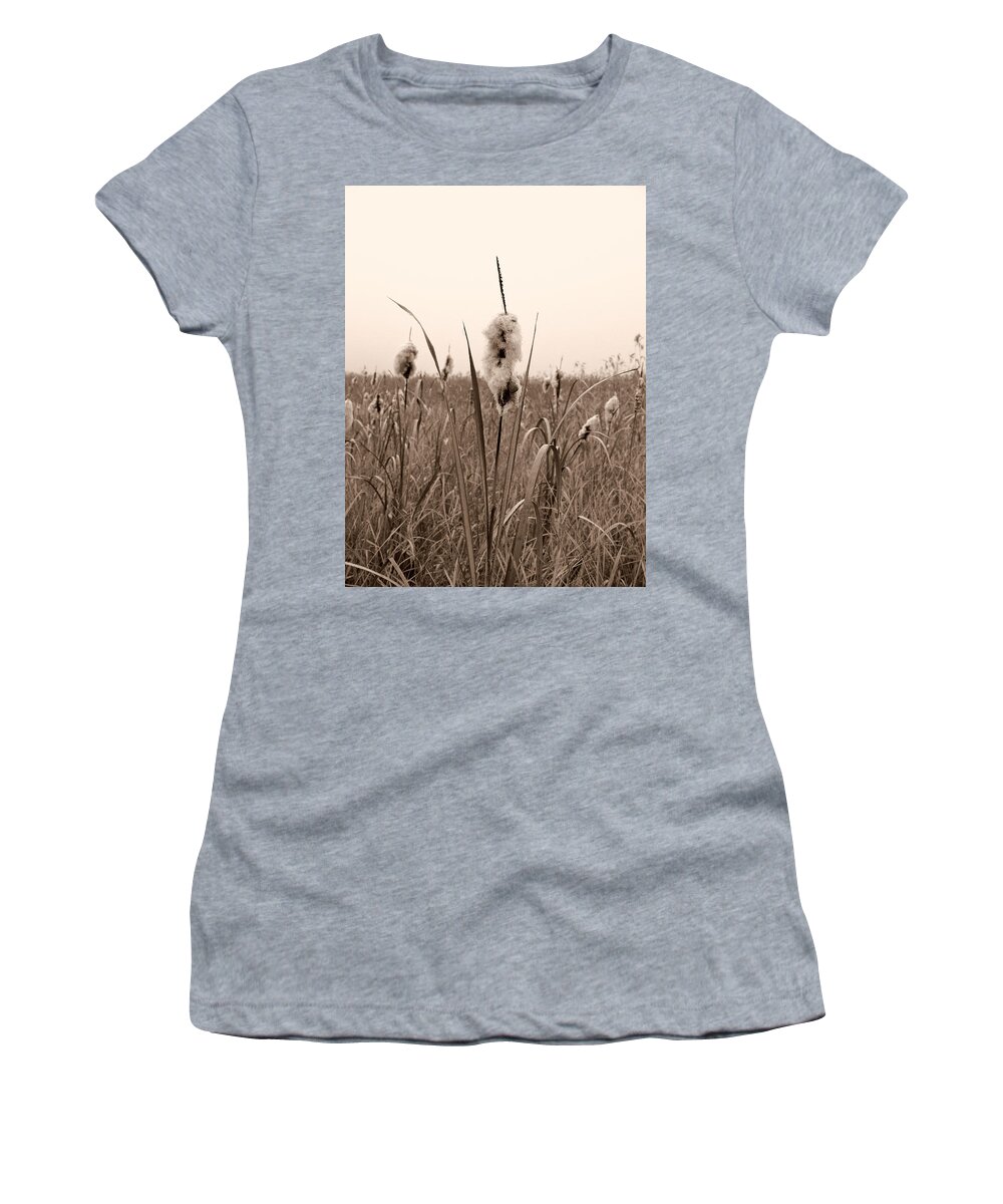 Lehtokukka Women's T-Shirt featuring the photograph Broadleaf cattail 1 by Jouko Lehto