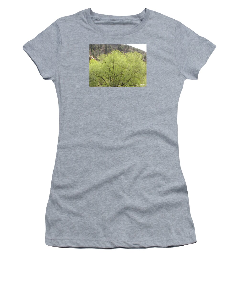 Big Women's T-Shirt featuring the photograph Tree Ute Pass Hwy 24 COS CO by Margarethe Binkley