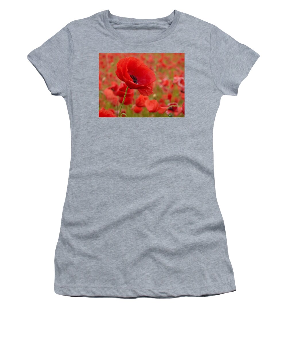 Lehtokukka Women's T-Shirt featuring the photograph Red poppies 3b by Jouko Lehto