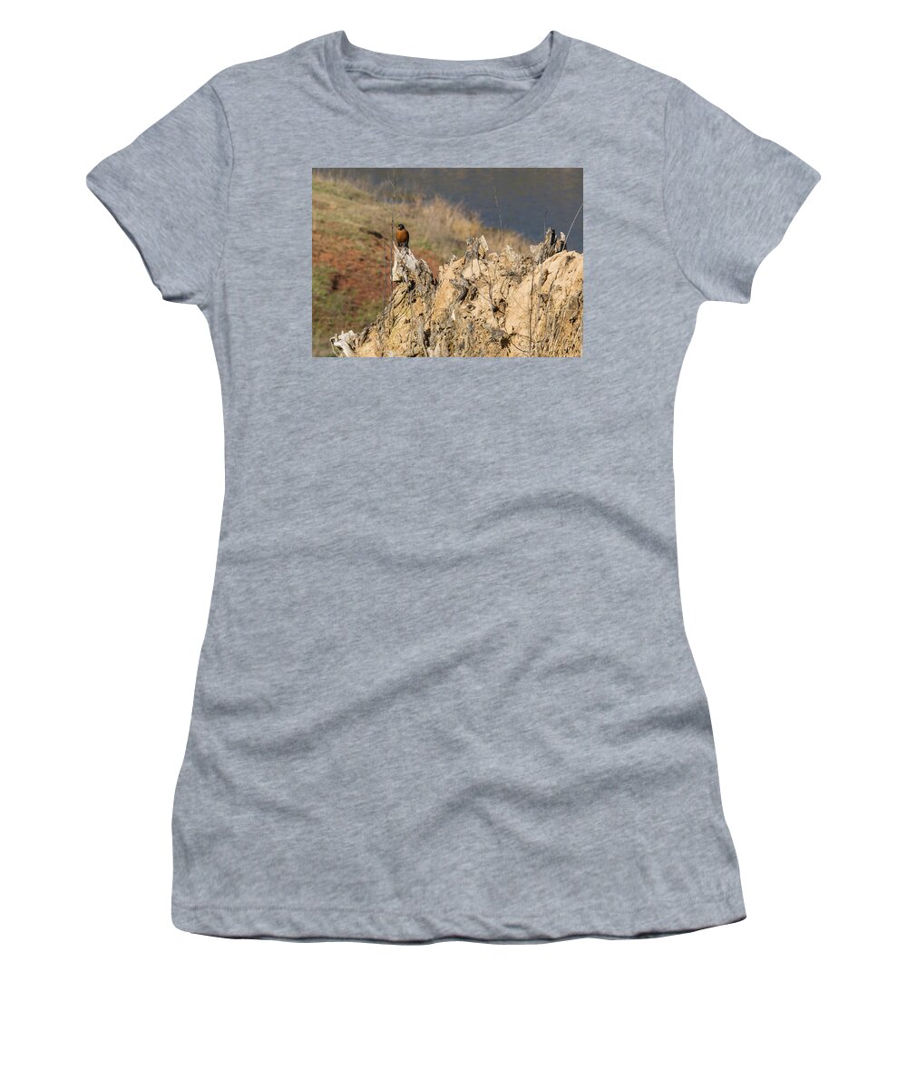 Jan Holden Women's T-Shirt featuring the photograph American Robin #1 by Holden The Moment