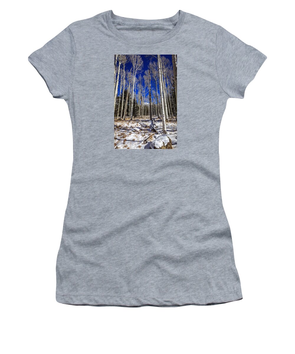 America Women's T-Shirt featuring the photograph Aspen forest #2 by Alexey Stiop