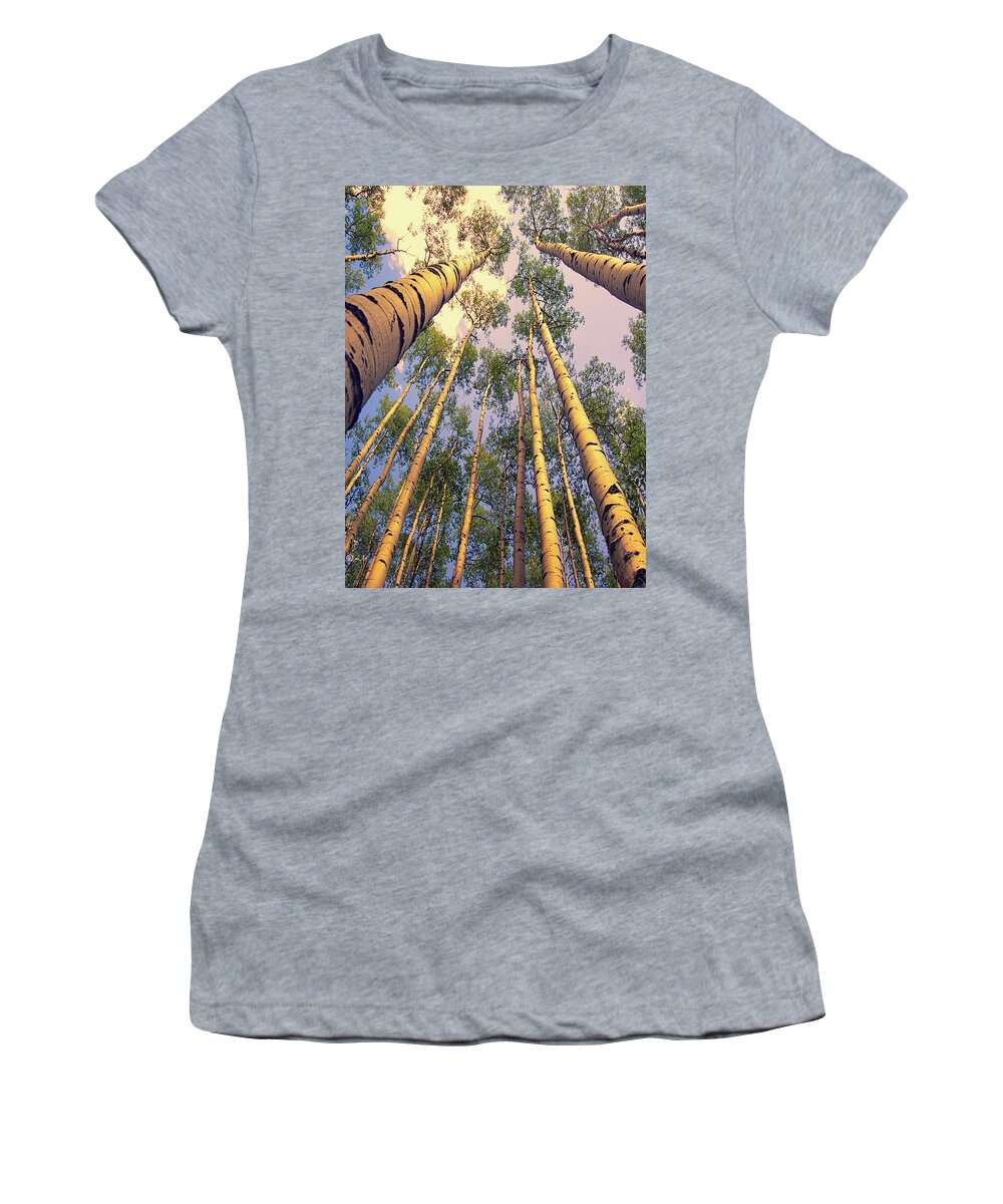 Scenic Women's T-Shirt featuring the digital art Aspen Trees Against Sky #1 by Lena Owens - OLena Art Vibrant Palette Knife and Graphic Design
