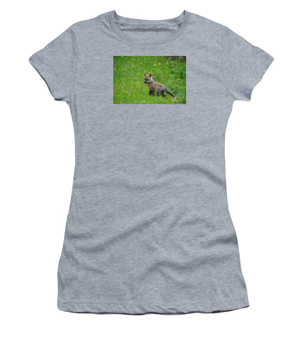Baby Fox Women's T-Shirt featuring the photograph Baby Fox #1 by Sandra Updyke