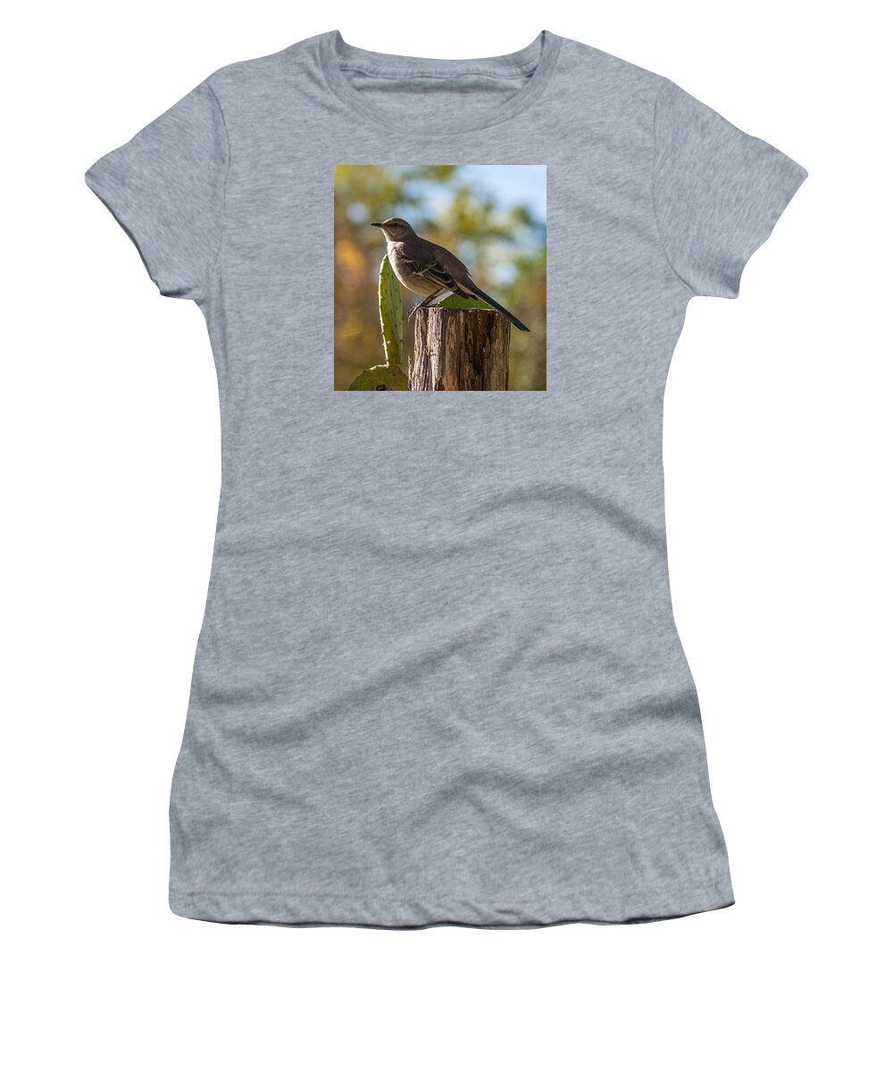 Bird Women's T-Shirt featuring the photograph Bird on a post #1 by Brian Kinney