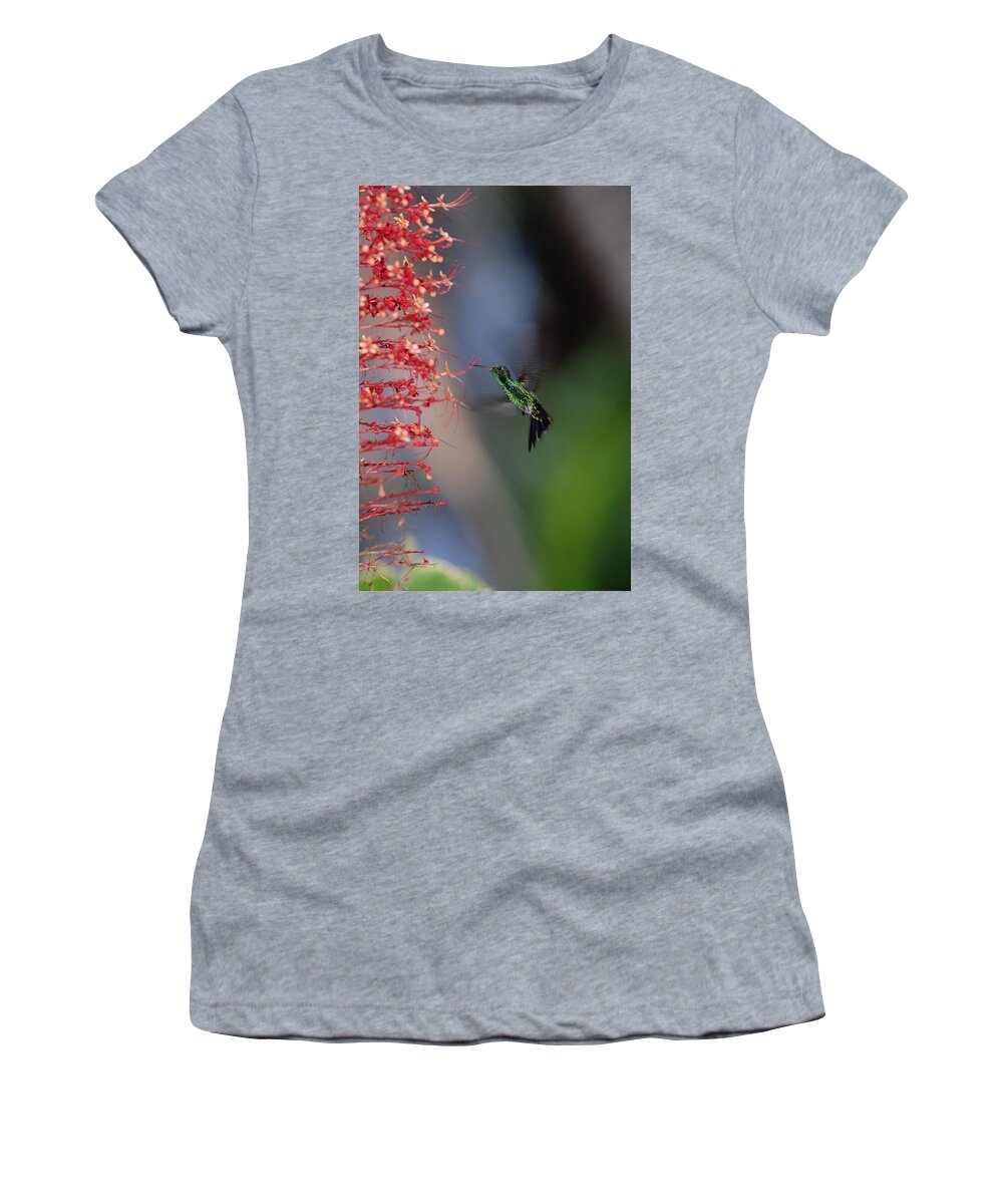 Mp Women's T-Shirt featuring the photograph Blue-tailed Hummingbird Amazilia #1 by Konrad Wothe