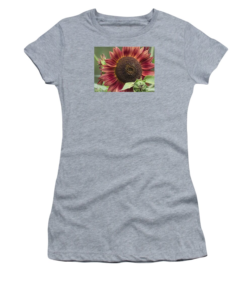 Flowers Women's T-Shirt featuring the photograph Chianti 2015 by Lili Feinstein