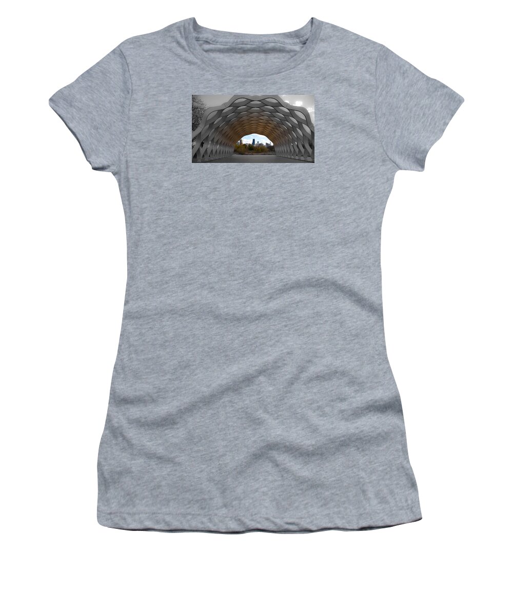 Chicago Women's T-Shirt featuring the photograph Chicago Skyline #1 by Lev Kaytsner