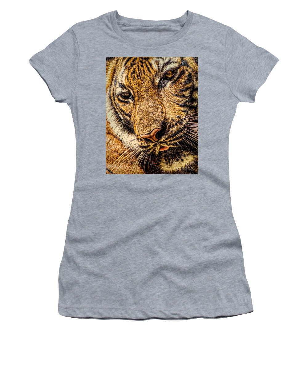 Big Cats Women's T-Shirt featuring the photograph Coy #1 by Ken Frischkorn