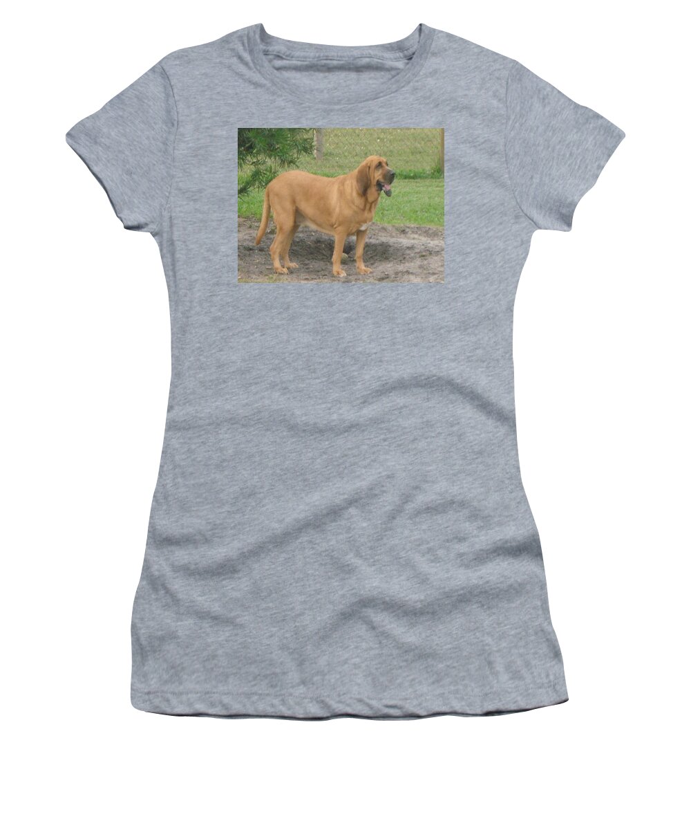 Bloodhound Women's T-Shirt featuring the photograph Cujo at the Park #1 by Val Oconnor