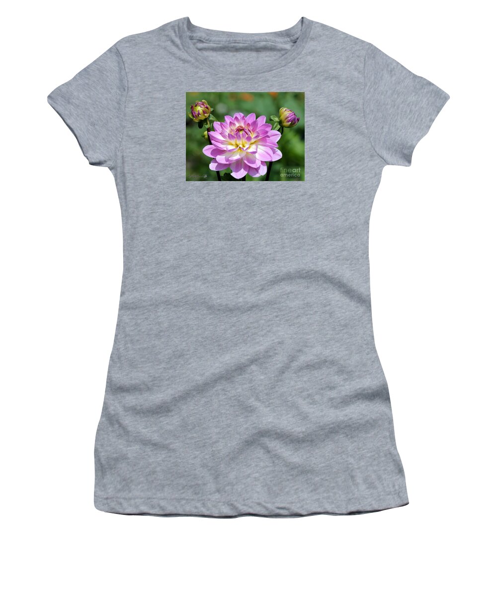Mccombie Women's T-Shirt featuring the photograph Dahlia named Sandia Melody #4 by J McCombie