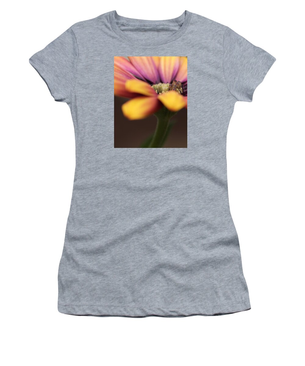 Flower Women's T-Shirt featuring the photograph Daisy #1 by Chris Smith