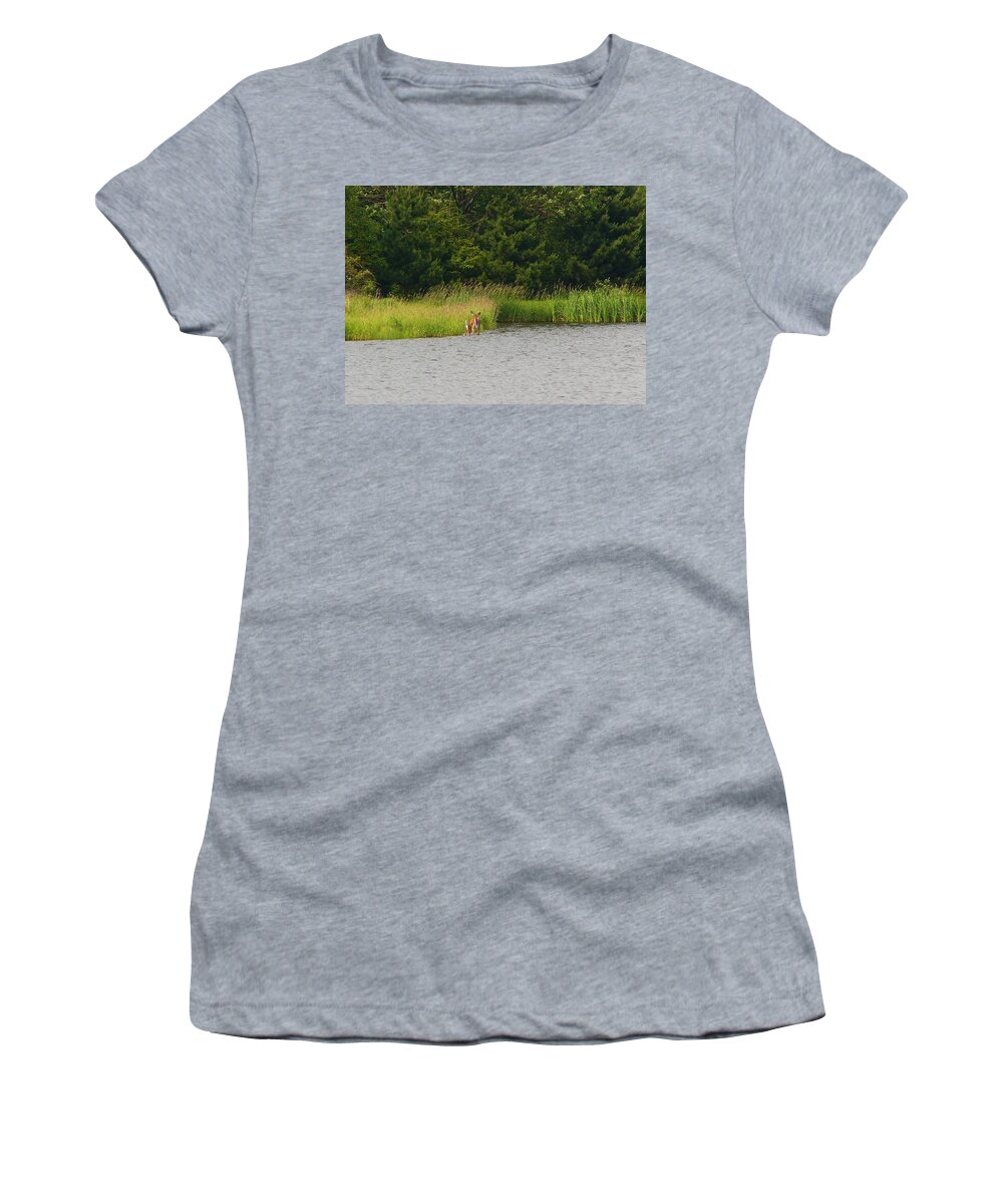 Deer Women's T-Shirt featuring the photograph Deer #1 by Jackie Russo