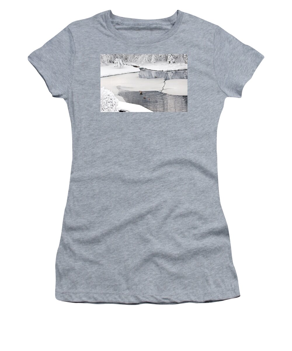 Ducks On A Pond Print Women's T-Shirt featuring the photograph Ducks on a pond Print by Gwen Gibson