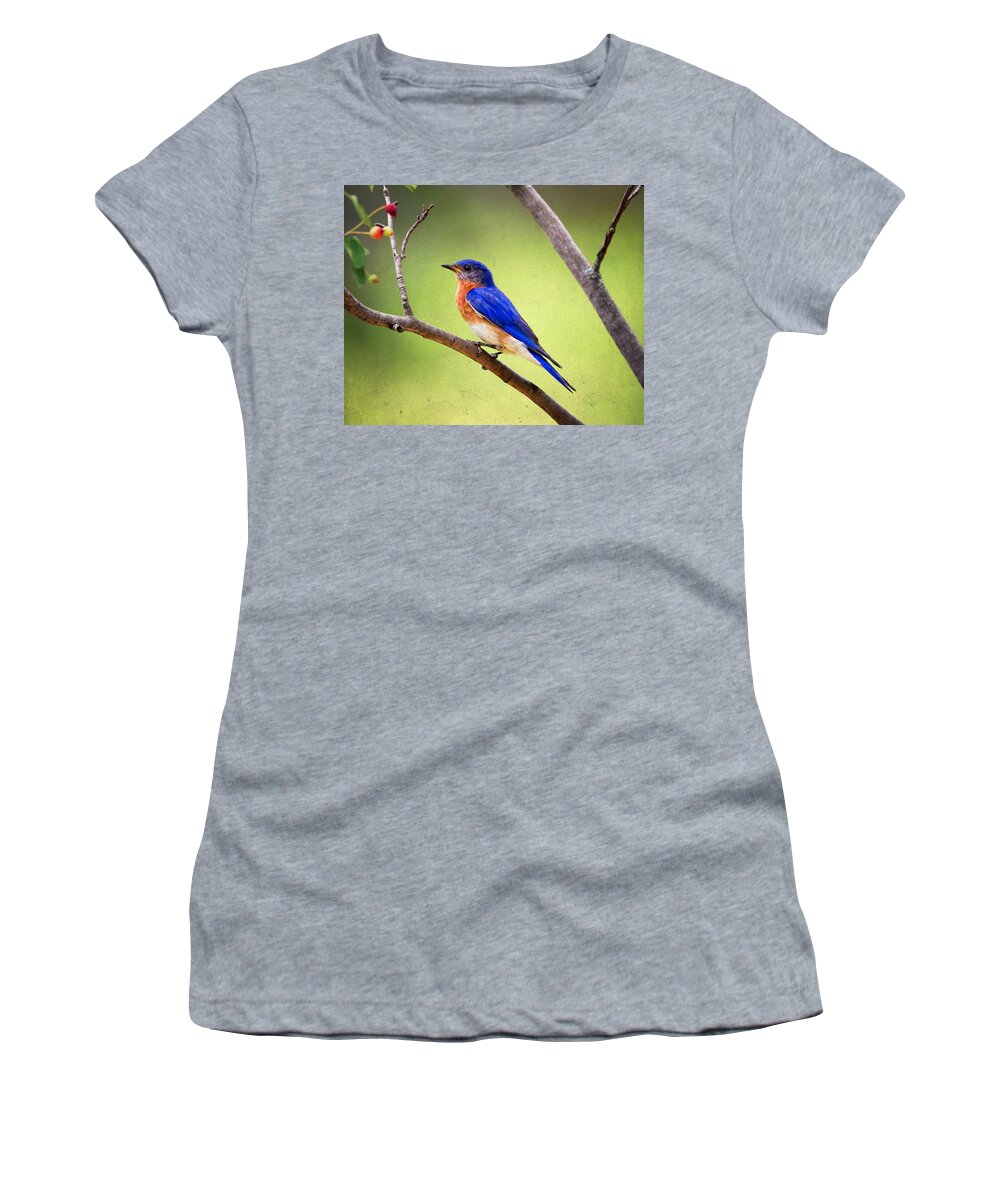 Birds Women's T-Shirt featuring the photograph Eastern Bluebird by Al Mueller