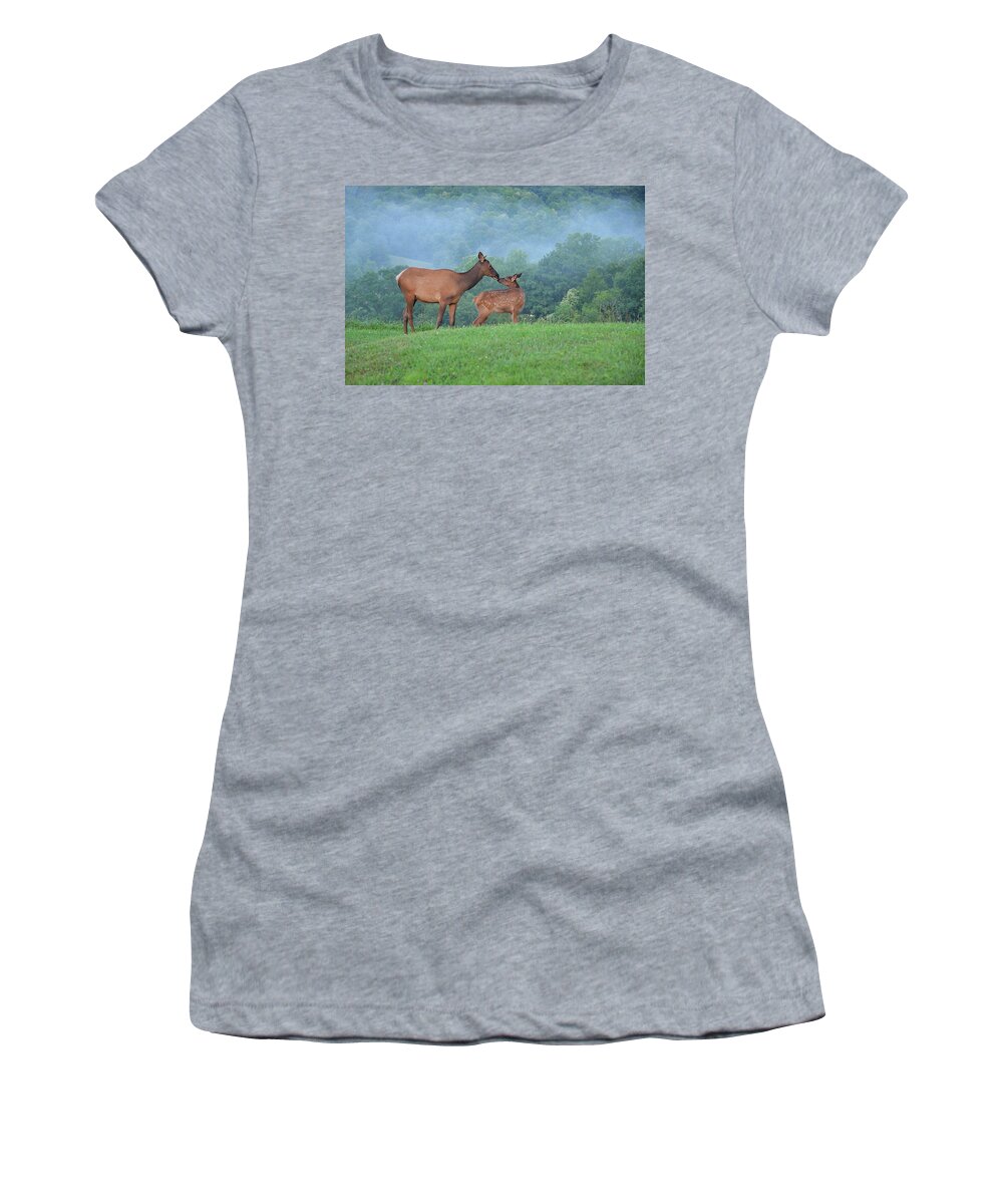 Mammals Women's T-Shirt featuring the photograph Elk Getting to Knows One Another #1 by Alan Lenk