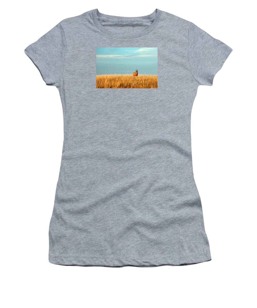 Deer Women's T-Shirt featuring the photograph Fort Peck Buck by Todd Klassy