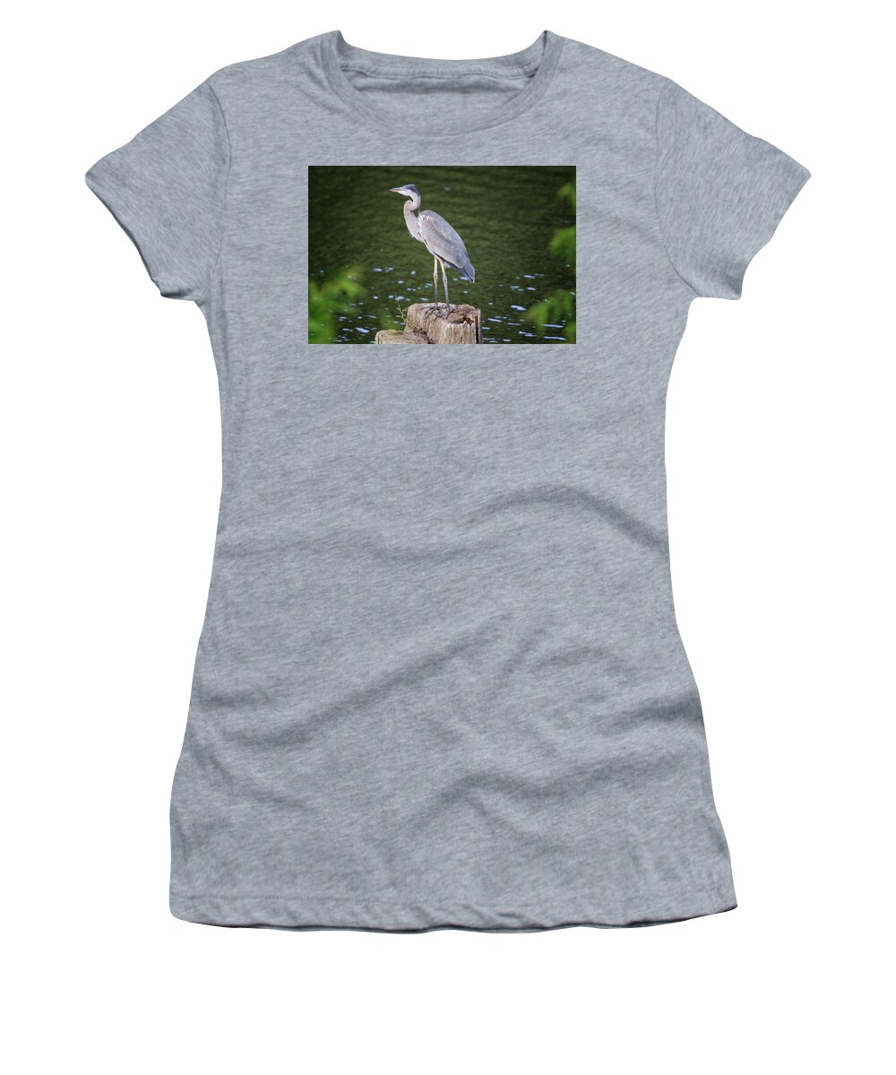 Port Dover Women's T-Shirt featuring the photograph Great Blue Heron #1 by Gary Hall