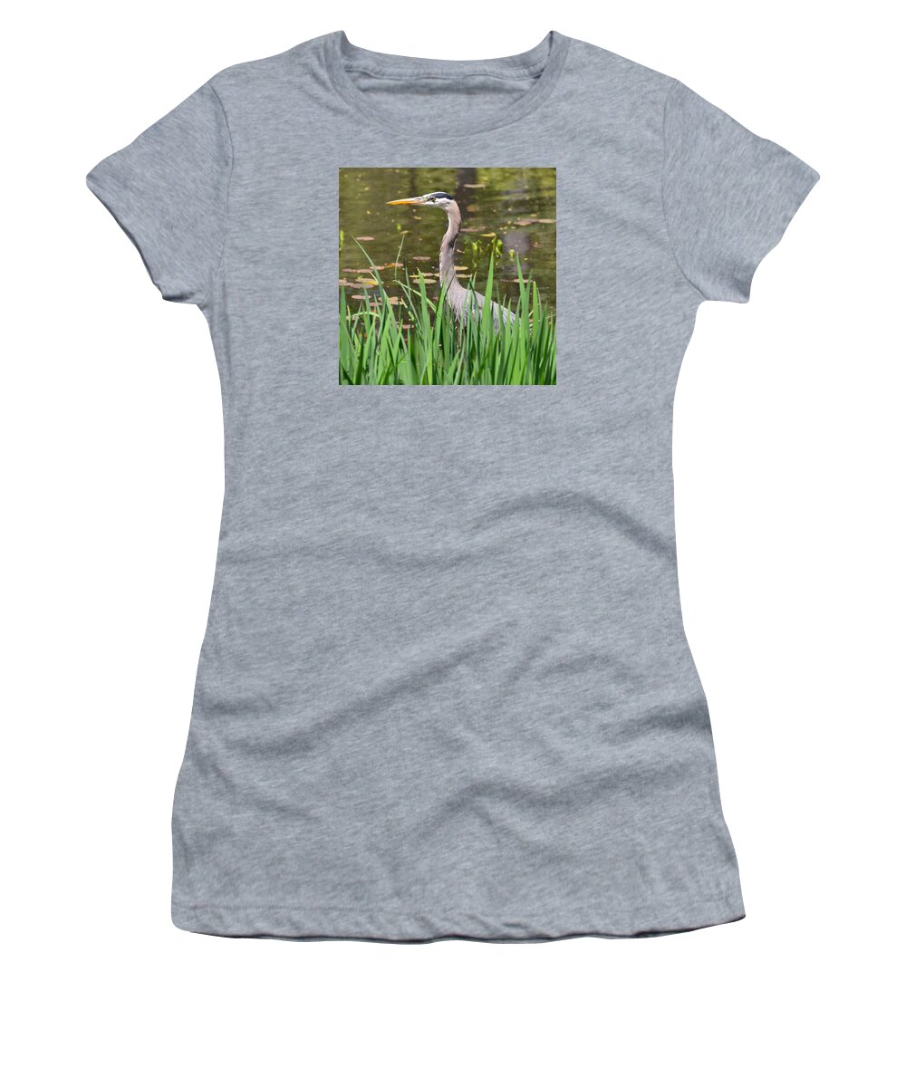 Heron Women's T-Shirt featuring the photograph Great Blue Heron #1 by Ken Stampfer