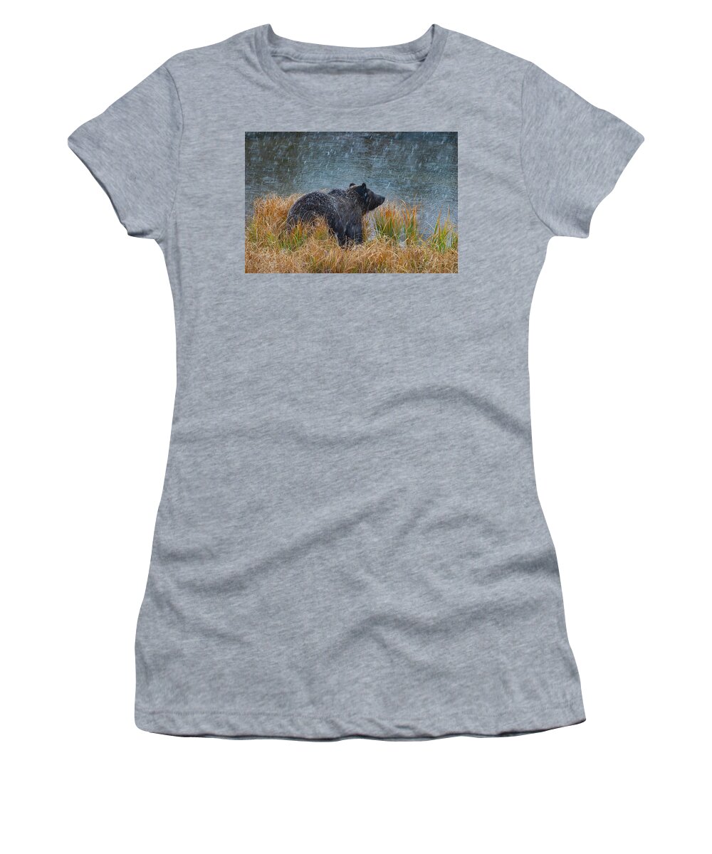 Mark Miller Photos Women's T-Shirt featuring the photograph Grizzly in Falling Snow #1 by Mark Miller