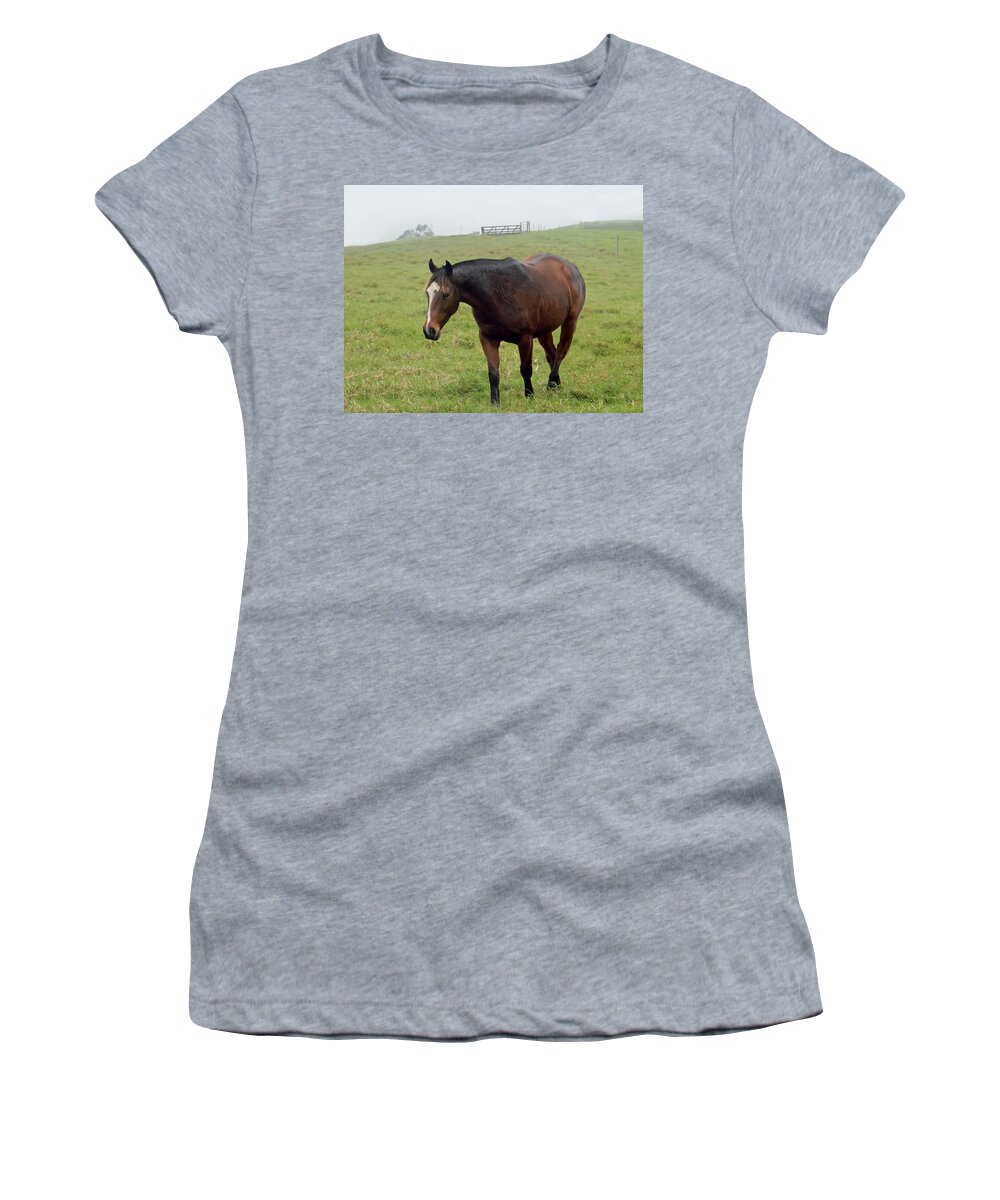 Horse Women's T-Shirt featuring the photograph Horse in the Fog by Pamela Walton