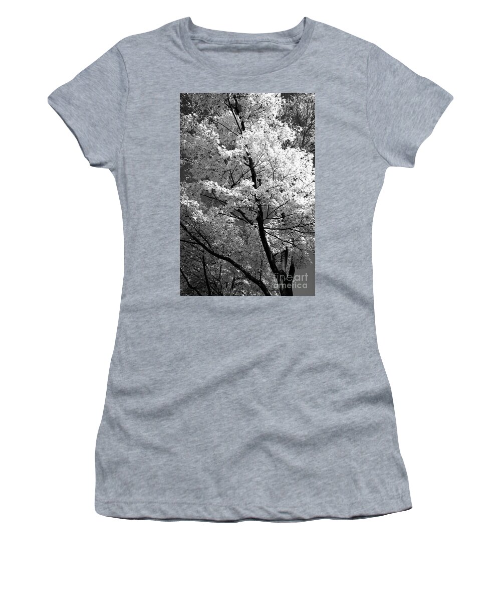 Tree Women's T-Shirt featuring the photograph Infrared tree pic #1 by Heiko Koehrer-Wagner
