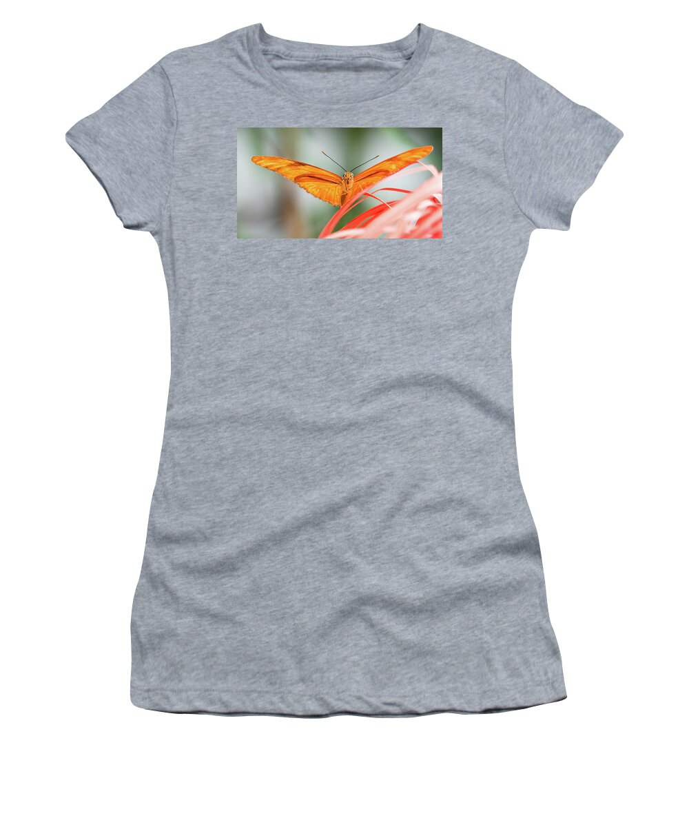 Butterfly Women's T-Shirt featuring the photograph Julia Butterfly #1 by Cathy Donohoue