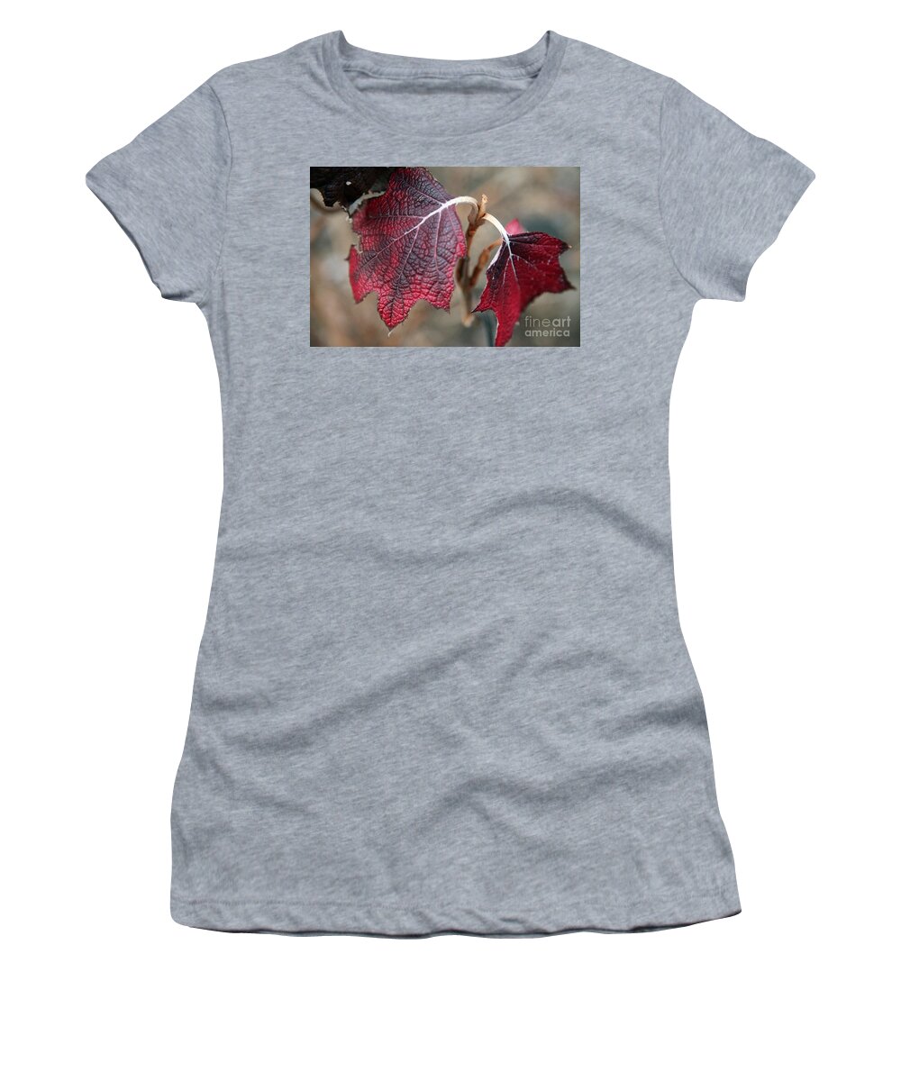Fall Women's T-Shirt featuring the photograph Leaves #1 by Amanda Barcon