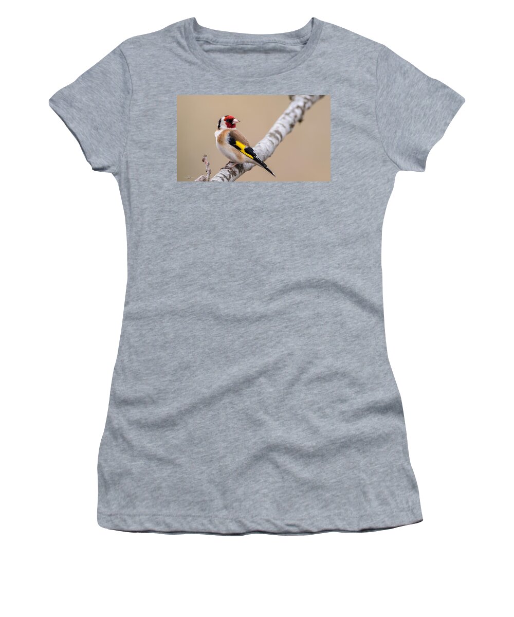 Looking Behind Women's T-Shirt featuring the photograph Looking behind2 by Torbjorn Swenelius