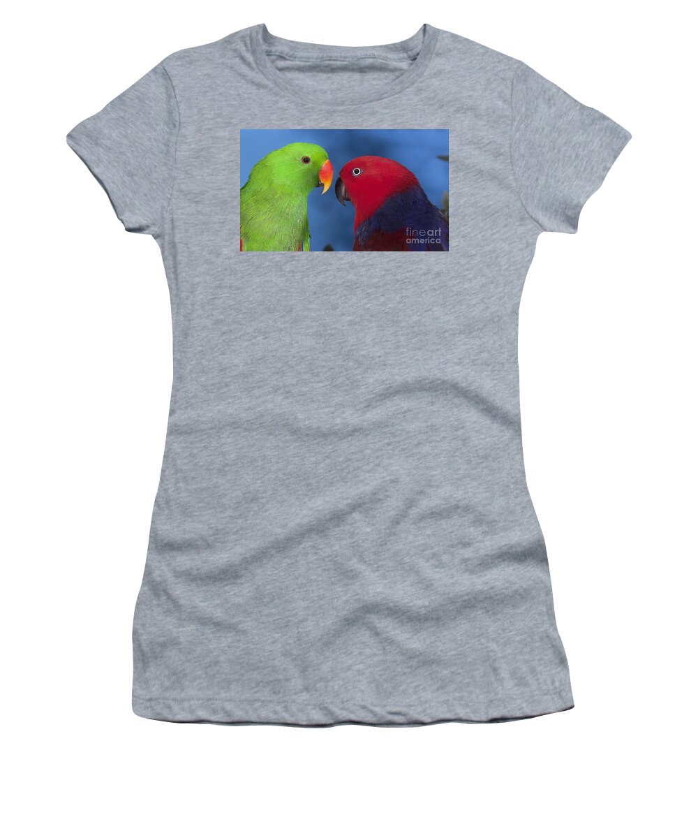 Adult Women's T-Shirt featuring the photograph Male And Female Eclectus Parrots #1 by Gerard Lacz